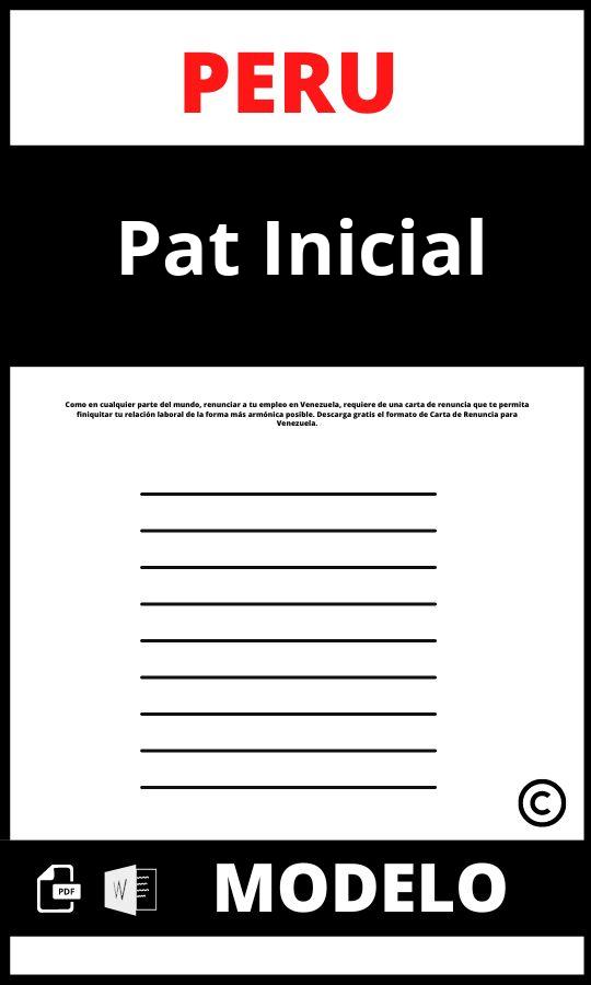 Modelo de pat inicial